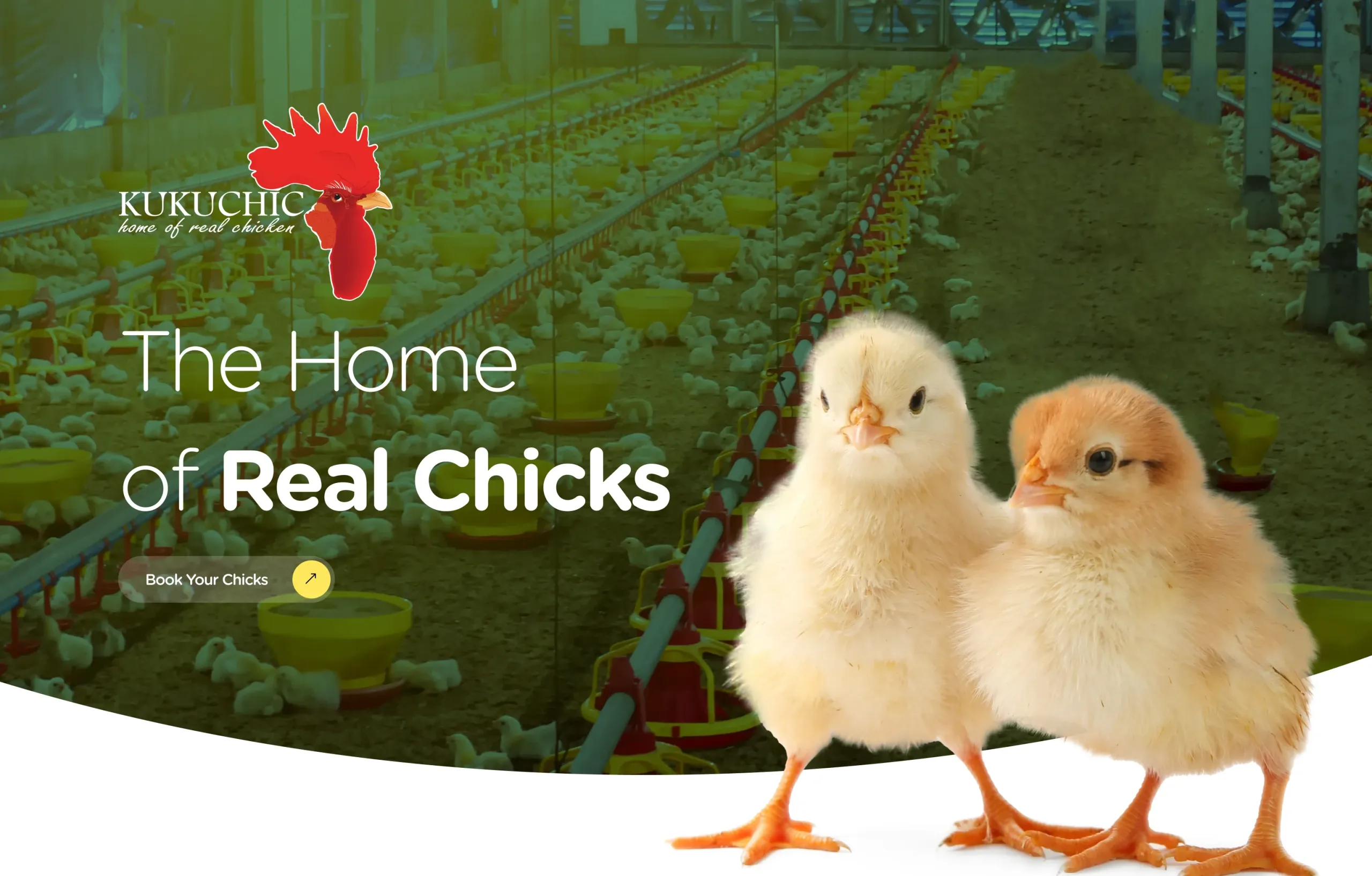 Poultry E-Commerce Platform for Farmers